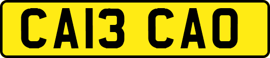 CA13CAO