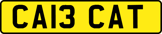 CA13CAT