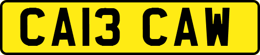 CA13CAW