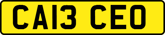 CA13CEO