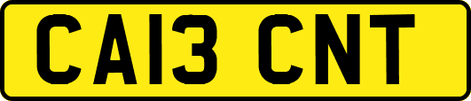 CA13CNT