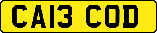 CA13COD