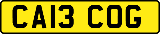 CA13COG