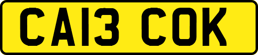 CA13COK