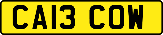CA13COW