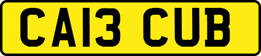 CA13CUB