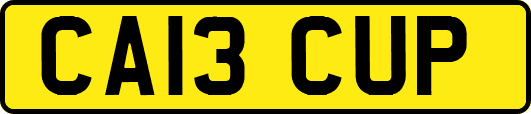 CA13CUP