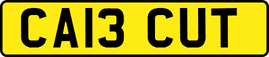 CA13CUT