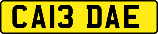 CA13DAE