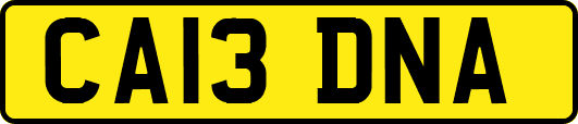 CA13DNA