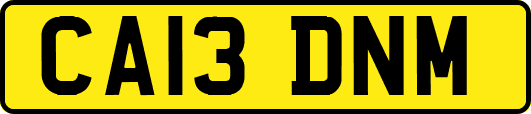 CA13DNM