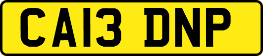 CA13DNP