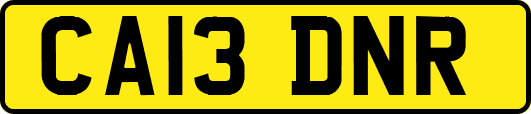 CA13DNR