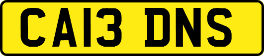 CA13DNS