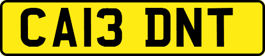 CA13DNT