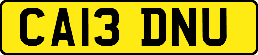 CA13DNU