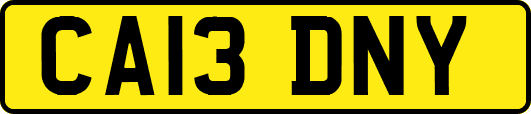 CA13DNY