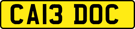 CA13DOC