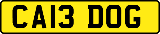 CA13DOG