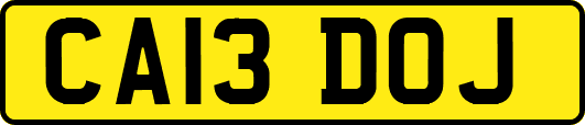 CA13DOJ