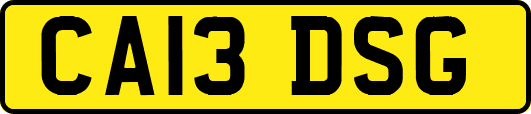 CA13DSG