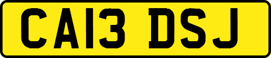 CA13DSJ