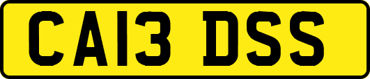 CA13DSS