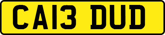CA13DUD