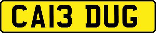 CA13DUG