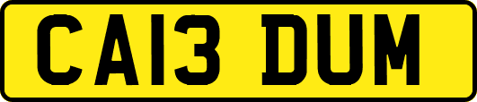 CA13DUM