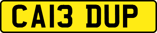 CA13DUP