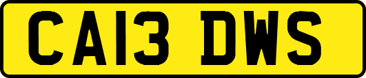 CA13DWS