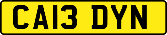 CA13DYN