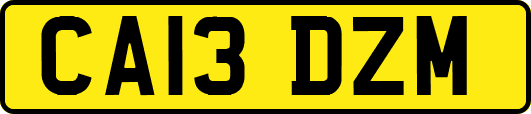 CA13DZM