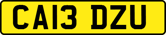 CA13DZU
