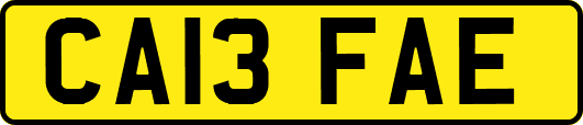 CA13FAE