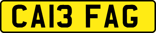 CA13FAG
