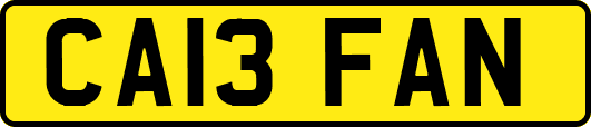 CA13FAN