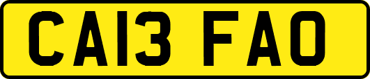 CA13FAO