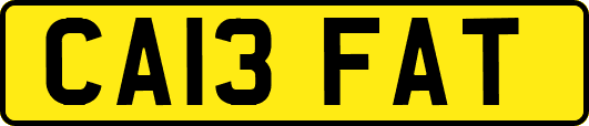 CA13FAT