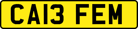CA13FEM