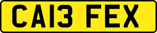 CA13FEX