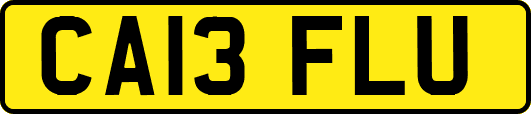 CA13FLU