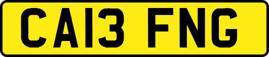 CA13FNG