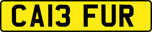 CA13FUR