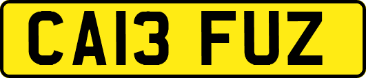 CA13FUZ