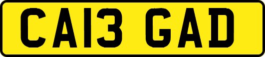 CA13GAD