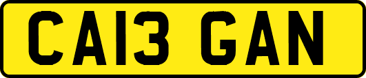 CA13GAN