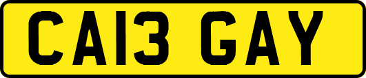 CA13GAY