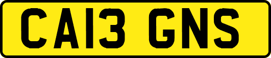 CA13GNS